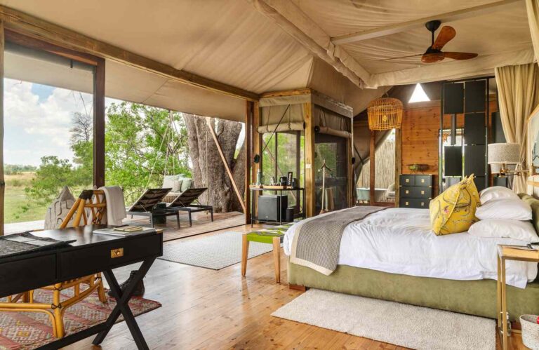 Best Boutique Safari Options: The Definitive Elite Guide
