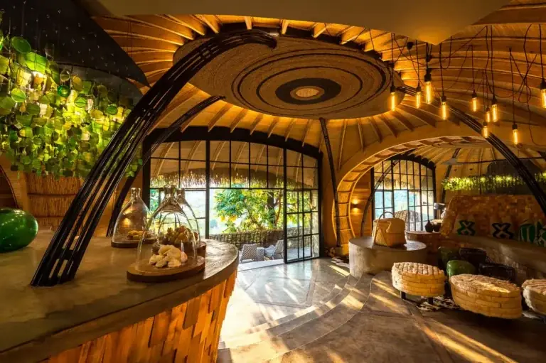 Best Luxury Safari Options: The Definitive Elite Guide