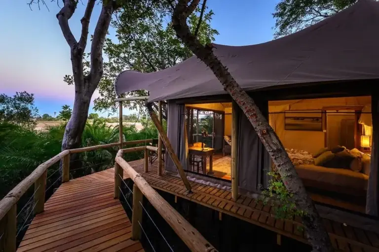 Compare Exclusive Safari Camps: The Definitive Elite Guide