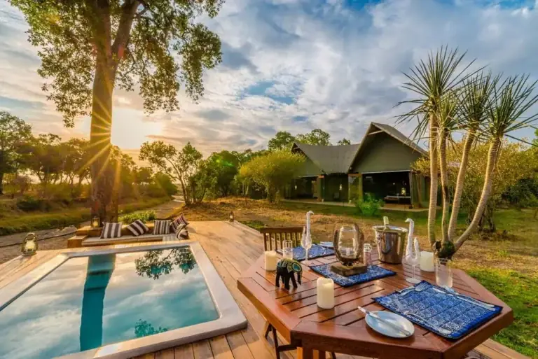 Luxury Safari Plans: The Definitive Elite Guide