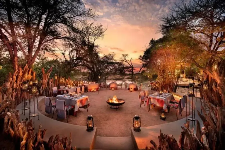 Luxury Safari Vacation Packages: The Definitive Elite Guide