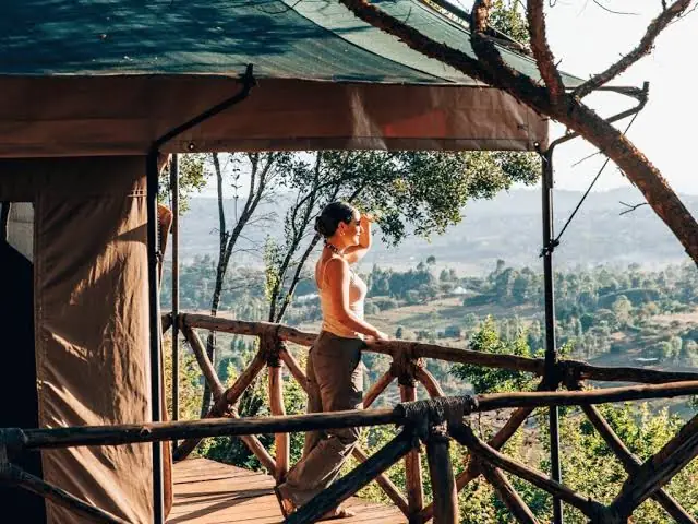Top Five Star Safari Plans: The Definitive Elite Guide