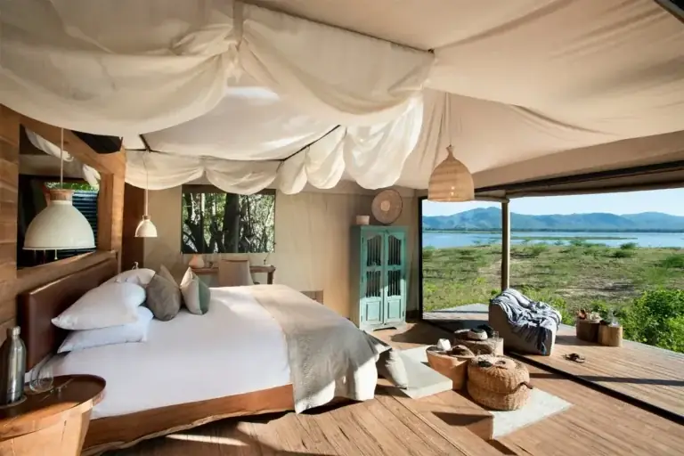 Top High End Safari Packages: The Definitive Elite Guide